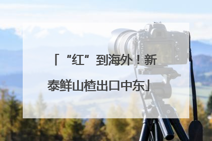 “红”到海外！新泰鲜山楂出口中东